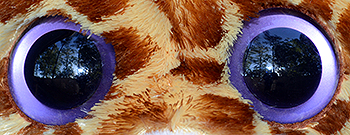 Tippy (extra large) - original eyes