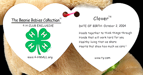 Clover (4-H) - swing tag inside