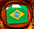 Champion - Brazil - flag nose