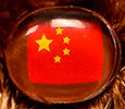 Champion - China - flag nose