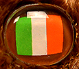 Champion - Ireland - flag nose
