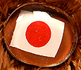Champion - Japan - flag nose