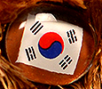 Champion - Korea - flag nose
