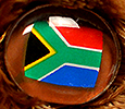 Champion - South Africa - flag nose
