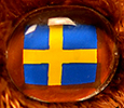 Champion - Sweden - flag nose