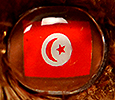 Champion - Tunisia - flag nose
