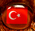 Champion - Turkey - flag nose
