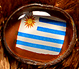 Champion - Uruguay - flag nose