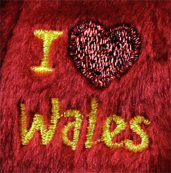 Wales - embroidery on chest