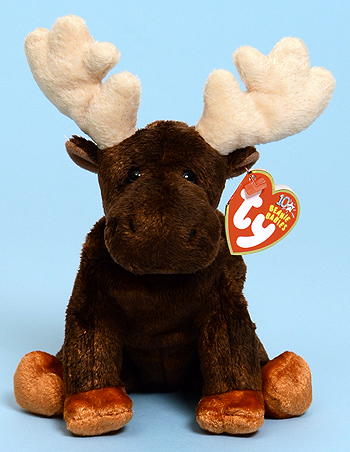 Zeus - moose - Ty Beanie Babies