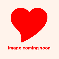 Romeo (no printing on heart) - bear - Ty Beanie Boos - image available soon