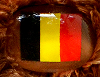 Flag nose on Champion Buddy - Belgium
