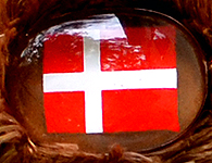 Flag nose on Champion Buddy - Denmark