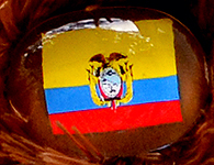 Flag nose on Champion Buddy - Ecuador