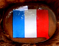 Flag nose on Champion Buddy - France
