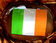 Flag nose on Champion Buddy - Ireland