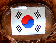 Flag nose on Champion Buddy - Korea Republic
