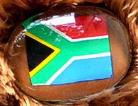 Flag nose on Champion Buddy - South Africa