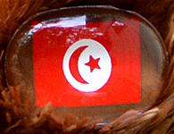 Flag nose on Champion Buddy - Tunisia