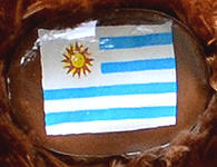 Flag nose on Champion Buddy - Uruguay