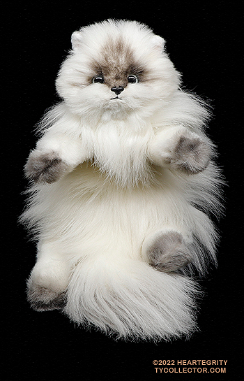 Angora - Ty Himalayan cat (1986)